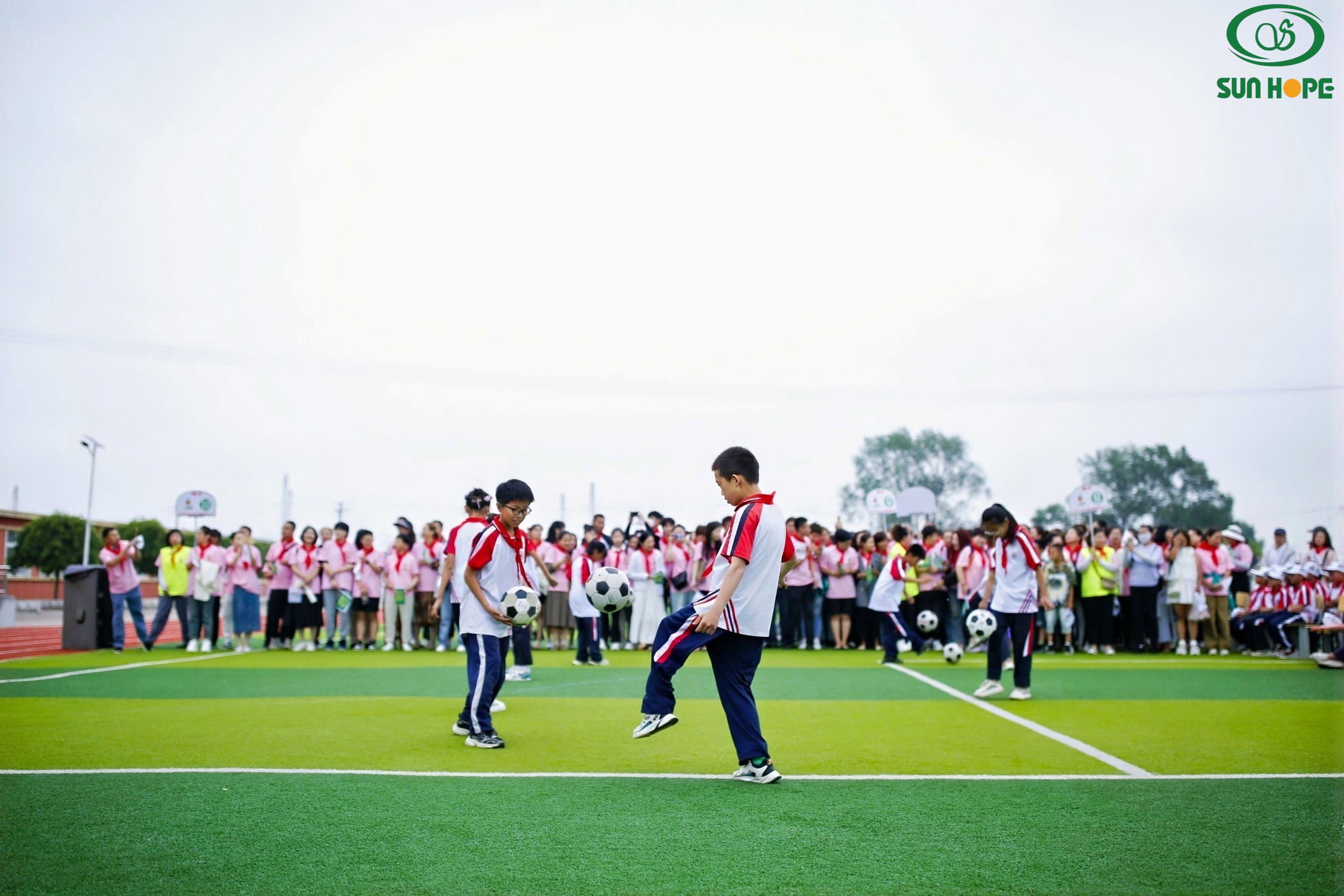 第252所 辽宁省锦州市义县七里河镇中心苗阳学校